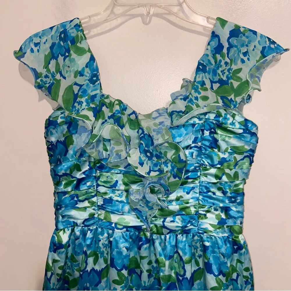 Amur Dress Womens Size 6 Pia Garden Blues Floral Pleated Tiered Midi Cottage - Picture 16 of 16